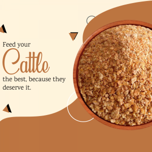 Cattle feed facebook banner