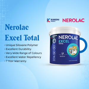 Nerolac Paints business flyer