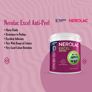 Nerolac Paints business template