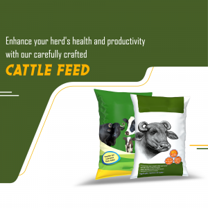 Cattle feed facebook ad