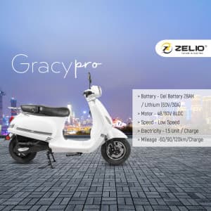 Zelio flyer