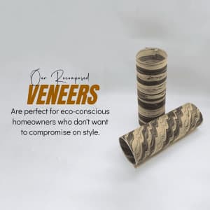 Veneer business template