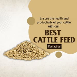 Cattle feed business video