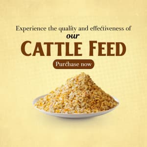 Cattle feed business banner