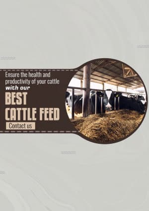 Cattle feed video