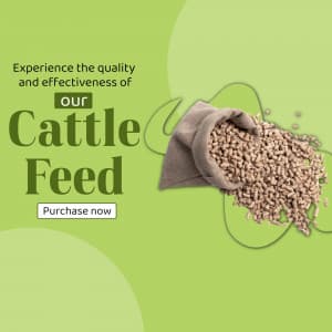 Cattle feed image