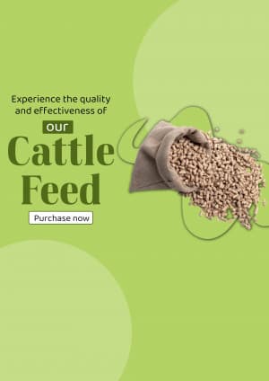 Cattle feed banner