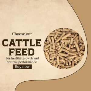 Cattle feed flyer