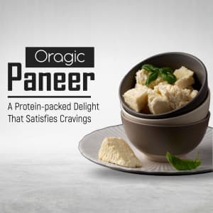 Paneer promotional template