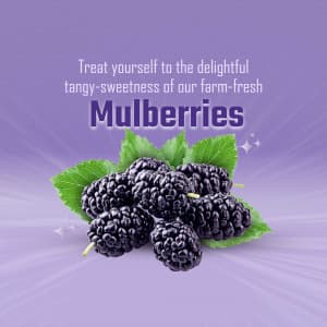 Mulberry business image