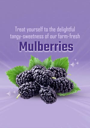 Mulberry business banner