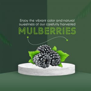 Mulberry business flyer