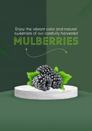 Mulberry business template