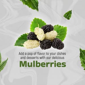 Mulberry business post