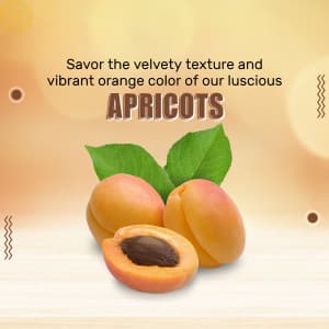 Apricot business banner