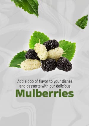 Mulberry marketing poster