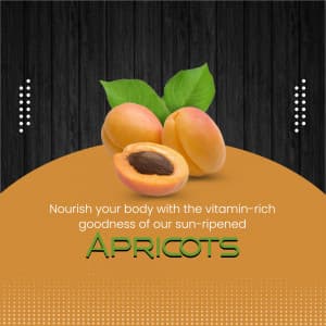 Apricot business template