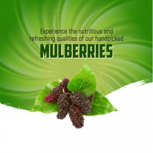 Mulberry marketing post