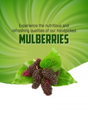 Mulberry video