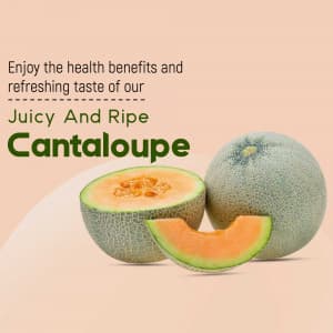 Cantaloupe business flyer