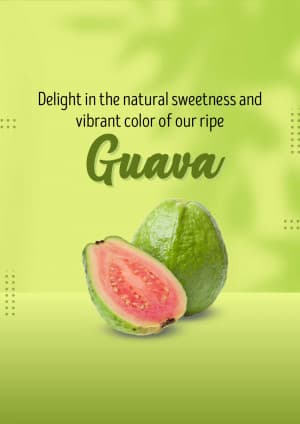 Guava business video