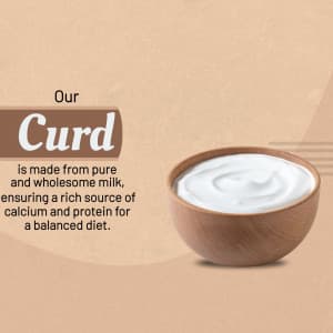 Curd business video