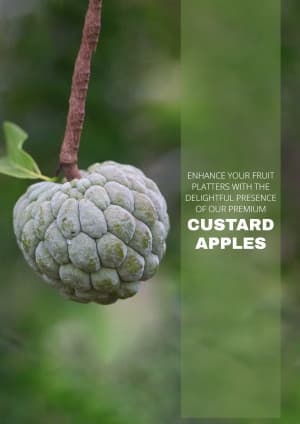 Custard Apple marketing poster