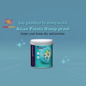 Asian Paints business video