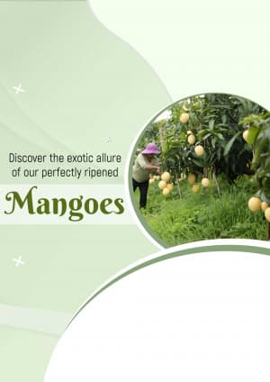 Mango business image