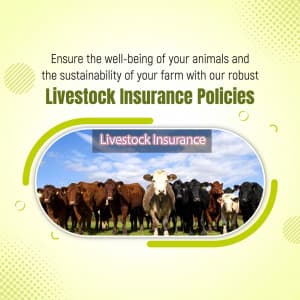 Live Stock Insurance flyer