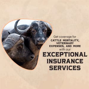 Pet & Cattle Insurance promotional images