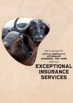 Pet & Cattle Insurance facebook banner