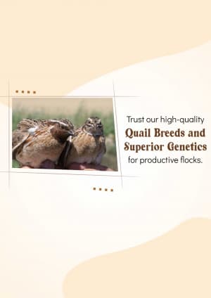 Quail Farming banner