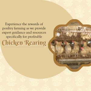 Chicken Farming business banner