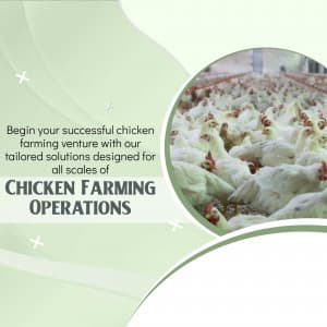 Chicken Farming business template