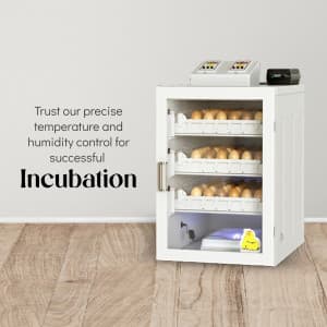 Egg Incubator business image