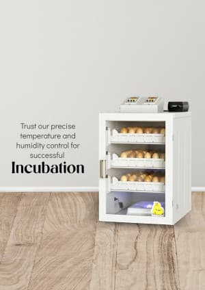 Egg Incubator business banner