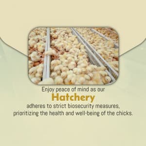 Hatchery marketing poster