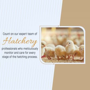 Hatchery marketing post