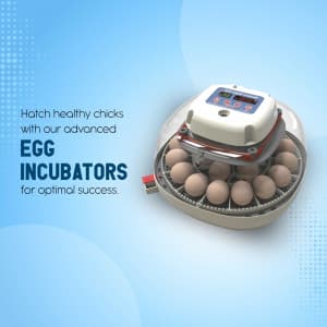 Egg Incubator business template