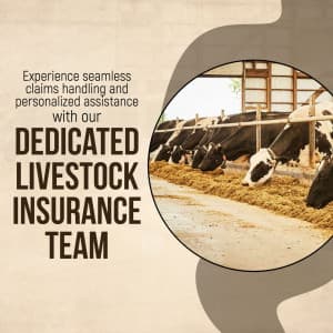 Live Stock Insurance business flyer