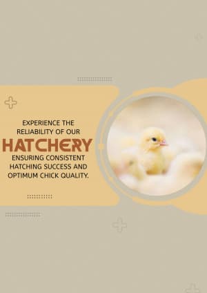 Hatchery flyer