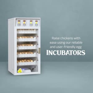 Egg Incubator business flyer