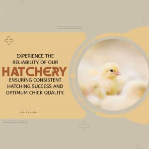 Hatchery business image