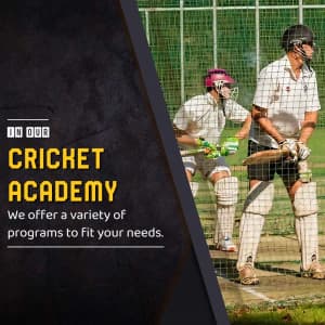 Cricket Academies business post