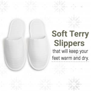 Terry Slipper business post