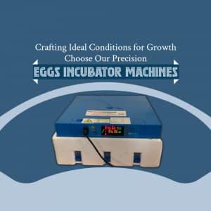 Egg Incubator flyer