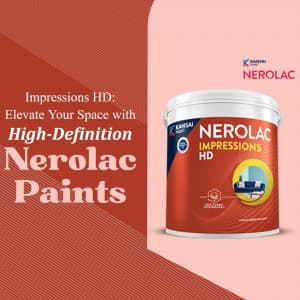 Nerolac Paints business post