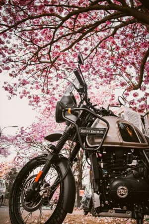 Bike Instagram banner