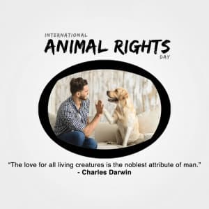 International Animal Rights Day marketing flyer